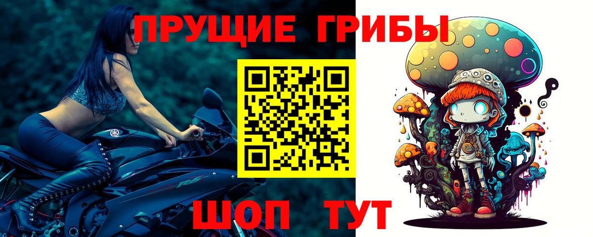 Галлюциногенные грибы мицелий Туапсе