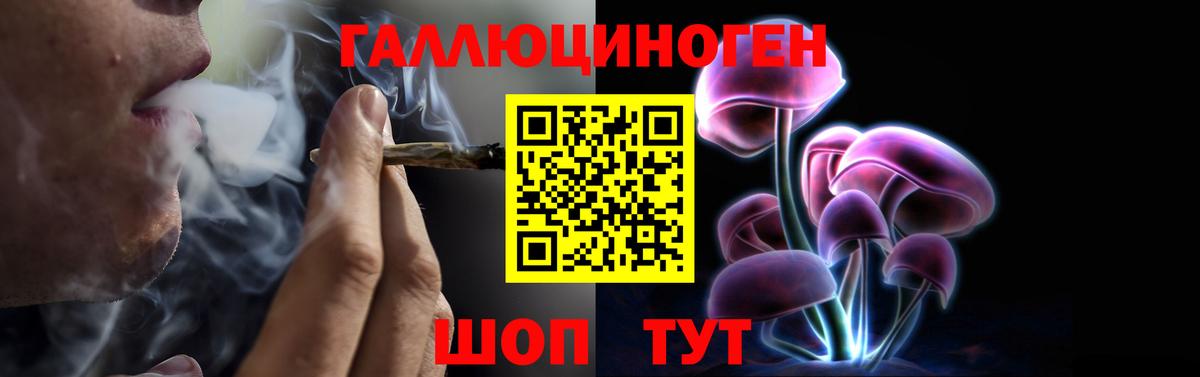 Туапсе  Галлюциногенные грибы Psilocybe  Галлюциногенные грибы прущие грибы  Вход с VPN 